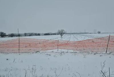 Teren de 2300 mp, în Dărăști-Ilfov - 1
