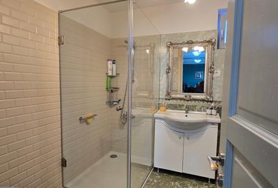 VILA LUX DE VANZARE -PANCIU-STRAOANE - 21