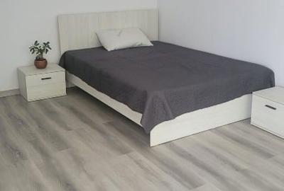 Garsonieră decomandată, mobilată în Nicolina - 1