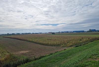 Teren de 7600 mp, în Vetiș - 1