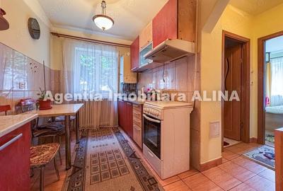 Apartament cu 2 camere decomandat în Gojdu - 12