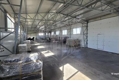 Spațiu comercial, de 360 mp, în Mihai Bravu - 10