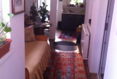 Casă cu 3 camere cu Teren 364 Mp în Ultracentral - 3