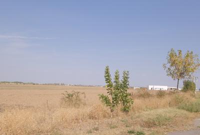 5,7 Ha. vav de Dovinot - Mihailesti, teren intravilan cu deschidere la DN6 - 10