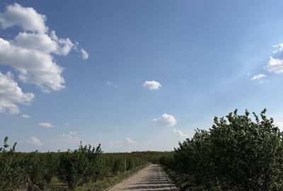 Spațiu comercial, în Păușa - 6