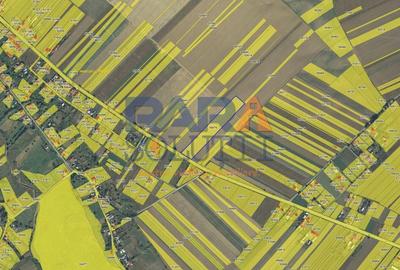 17900 mp teren - la 4,5 km de autostrada A7 - 3