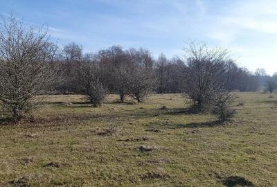 Teren de 4100 mp, în Vlădeni - 6