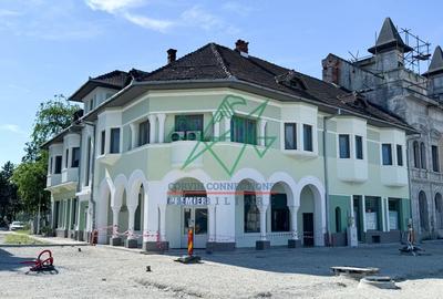 Clădire istorică în apropiere de Destinația Anului Castelul Corvinilor