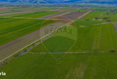 Spațiu comercial, în Lunca Mărcușului - 16