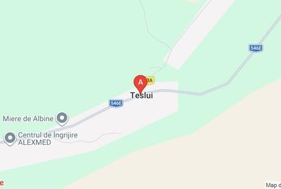 Teren extravilan de 5000 mp, în Teslui - 1