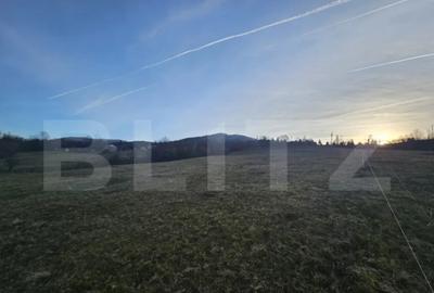 Teren de 16667 mp, în Abrud-Sat - 2