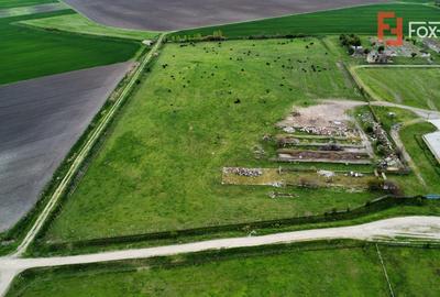 Teren Construcții intravilan de 58340 mp, în Sânmartinu Sârbesc - 18