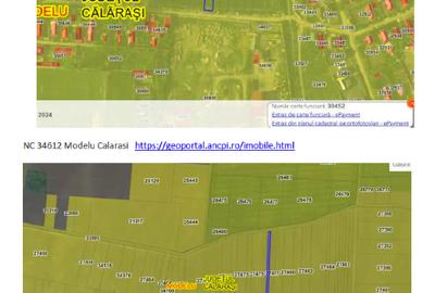 Teren agricol extravilan de 132658 mp, în Modelu - 15