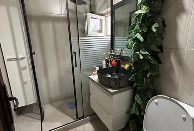 Apartament cu 2 camere semidecomandat în Pantelimon - 4