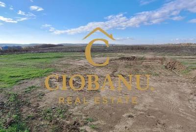 Parcele de teren intravilan de vanzare zona Preajba - 7