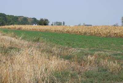 Teren Construcții intravilan de 14000 mp, în Clinceni - 4