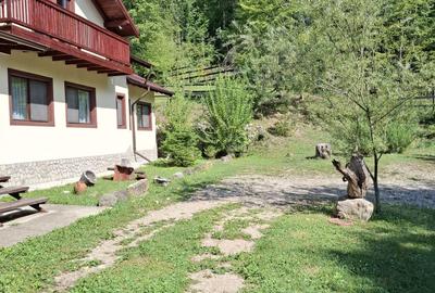 Casă cu 6 camere cu Teren 2267 Mp în Iedera de Sus - 21