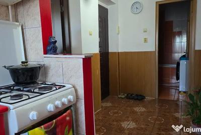 Apartament cu 3 camere decomandat în Minerul - 10