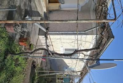 Casă cu 3 camere cu Teren 650 Mp în Sfântu Gheorghe - 6