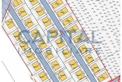 Teren Construcții intravilan de 24000 mp, în Chinteni