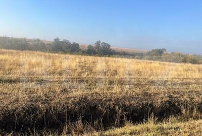 Teren intravilan, 2.500 mp, sat Sarbatoarea - 1