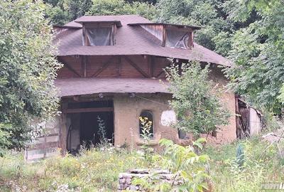 Casă cu 6 camere cu Teren 2700 Mp în Bradu - 6