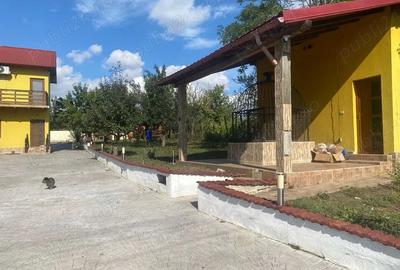 Casă cu 6 camere în Făclia - 8