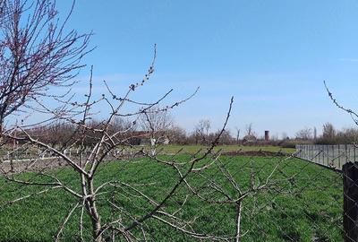 Casă cu 3 camere cu Teren 1052 Mp în Central - 8