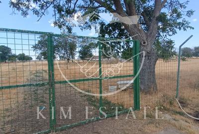 Ferma Pantelimon 10 hectare - 7