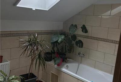 Duplex spatios - Asfalt - toate utilitatile . - 11