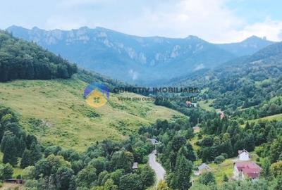 TEREN Izvoru Muntelui, langa orasul BICAZ - 2