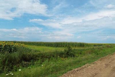 Teren Construcții extravilan de 28594 mp, în Crevedia - 1