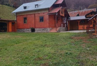 Casă cu 3 camere în Muntele Săcelului - 4