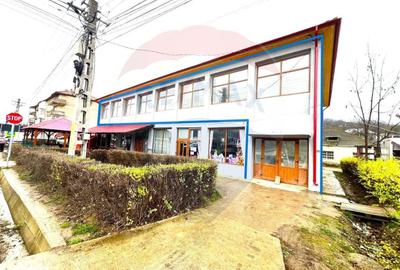 Spațiu comercial, de 271 mp, în Răchitoasa - 4