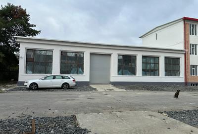 Spațiu industrial, de 10,321 mp, în Mârșa - 3