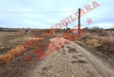 TEREN 21579 Mp. Curs Construc?ii + 4 Anexe La 35 Km Pite?ti - Buzoe?ti Stradal Ferma - 7