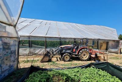 Investitie sigura! Vanzare ferma de legume care merge in plin! - 8
