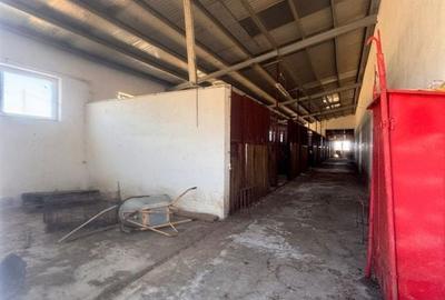 Teren Intravilan, Barateaz-Satchinez - 24