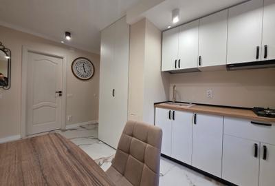 Garsonieră decomandată, mobilată în P-ța Alba Iulia - 13