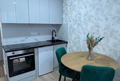 Apartament cu 1 camera de vanzare in zona Take Ionescu - 3