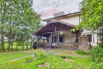 Teren si casa cu 6 camere in Saftica Ilfov - investitie - 4