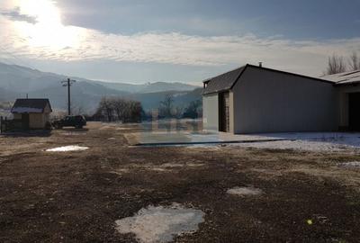 Spațiu industrial, de 600 mp, în Doman - 5