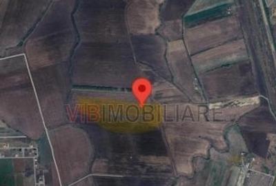 Teren de 40000 mp, în Mehala