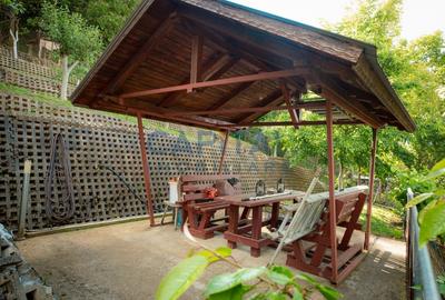 Casa superba zona centrala p+1 Resita - 42