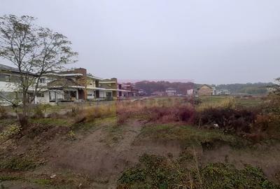 Teren de 5000 mp, în Corbeanca