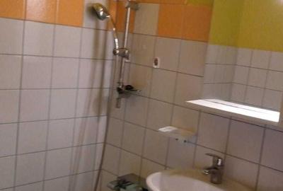 Garsonieră semidecomandată, mobilată în Buziașului - 7
