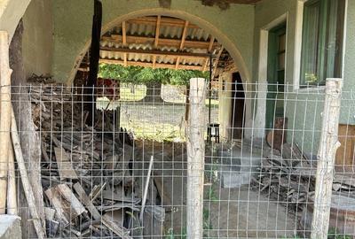 Casă cu 4 camere în Radu Negru - 1
