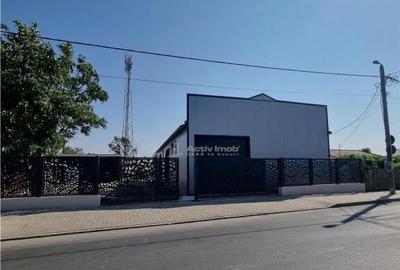 HALA 240 mp Constructie Noua Alexandria - 7