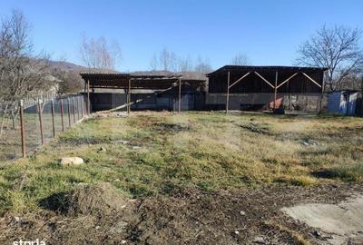 Casă cu 6 camere cu Teren 1681 Mp în Vulcana-Băi - 8