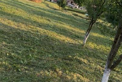 Teren de 1000 mp, în Petros - 3